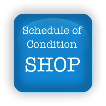 Schedule of condition shop
