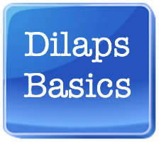 dilaps basics square