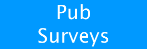 pub surveys